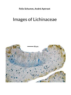cover image of Images of Lichinaceae